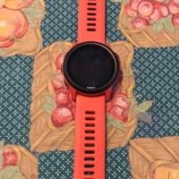 Garmin 745
