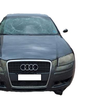 RICAMBI USATI PER AUDI A3 8P 1.9 TDI 105 CV