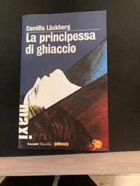 La principessa di ghiaccio