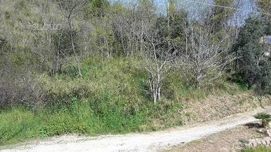 Terreno agricolo confine tra Pescara e S.G.Teatino