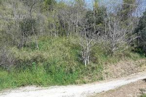 Terreno agricolo confine tra Pescara e S.G.Teatino