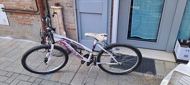 Bicicletta frejus