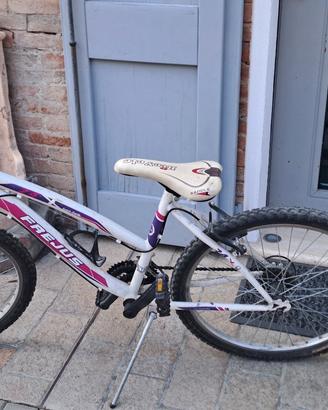Bicicletta frejus