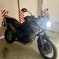 Triumph Tiger