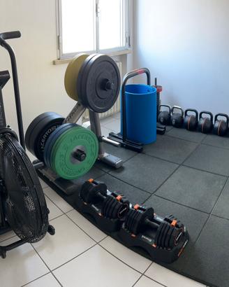 150kg DISCHI KIT LACERTOSUS