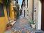 Immagine 12