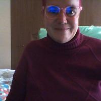 Baby sitter e dog/cat sitter