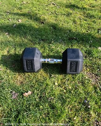 Dumbbell