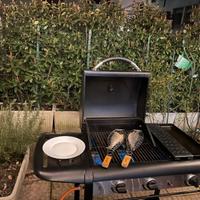 Barbecue a gas