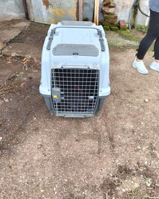 trasportino x cani 