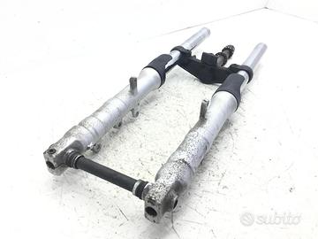 FORCELLA CON PARAPOLVERI DA SOSTITUIRE YAMAHA FZ6 