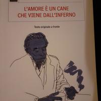 L'amore è un cane che viene dall'inferno