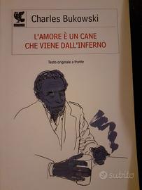 L'amore è un cane che viene dall'inferno