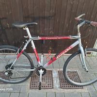 bicicletta STUCCHI raggio 26