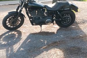 Dyna harley t sport