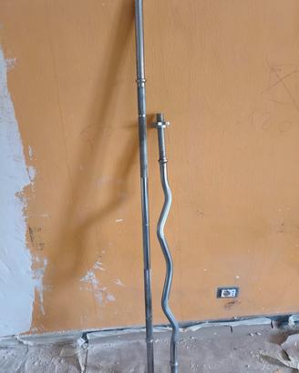 bilancieri dritto e curl. 