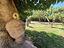 Immagine 19