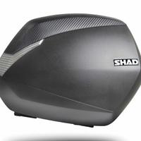 SHAD VALIGIE LATERALI SH36 CON COVER IN CARBON LOO