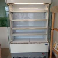 FRIGORIFERO ESPOSITIVO PROFESSIONALE TECNODOM