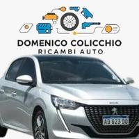 RICAMBI USATI PEUGEOT 208 2021