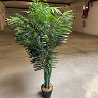Pianta finta