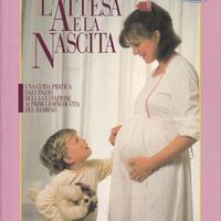 L' attesa e la nascita
