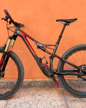 Specialized Stumpjumpet carbonio