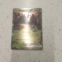 Pokemon card wo-chien ex