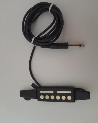 pick-up chitarra