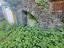Immagine 20