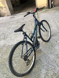 bicicletta
