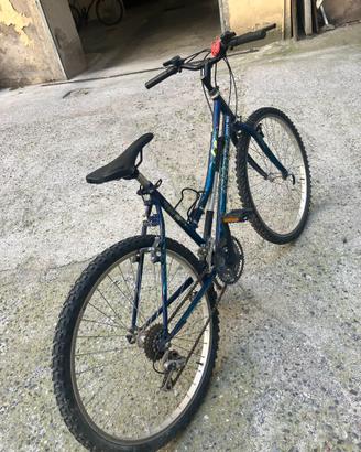 bicicletta