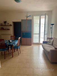 Bilocale e monolocale attiguo provincia di m