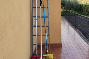 Compressore campagnolo