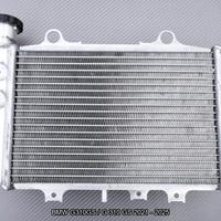 Radiatore BMW G310GS / G 310 GS 2021 - 2025