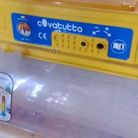 Incubatrice Novital Covatutto 24