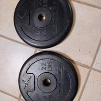pesi domyos gommati 2x10 kg 