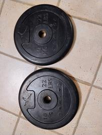 pesi domyos gommati 2x10 kg 