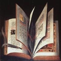 Libri di narrativa, gialli, classici e storie vere