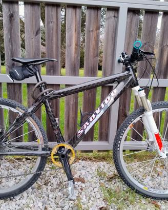 Mountain bike Carbonio 26"