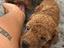 Immagine 4