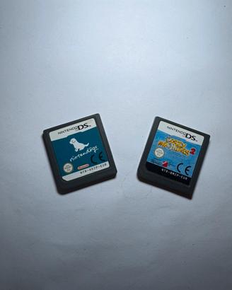 Nintendo DS