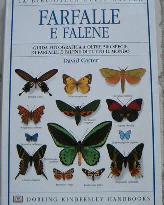 Farfalle E Falene - David Carter