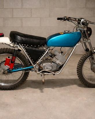 Cimatti caiman del 1975 