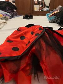 vestito da coccinella