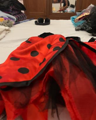 vestito da coccinella