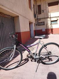 bicicletta mountain bike