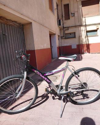 bicicletta mountain bike