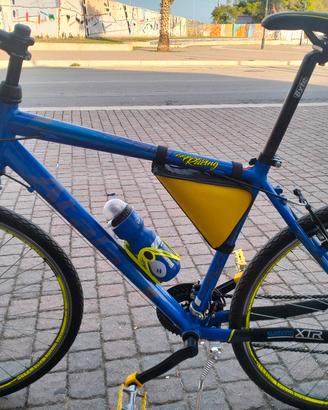 Atala professionale 