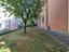 Immagine 29